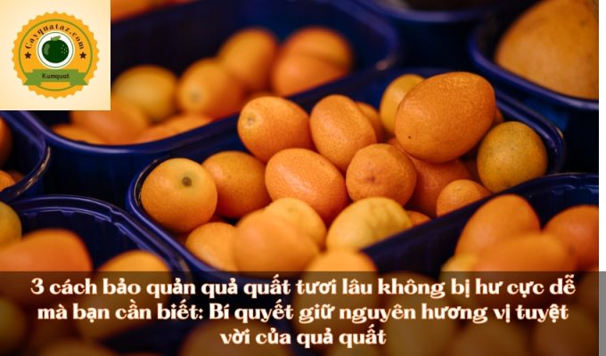 3 cách bảo quản quả quất tươi lâu không bị hư cực dễ mà bạn cần biết: Bí quyết giữ nguyên hương vị tuyệt vời của quả quất