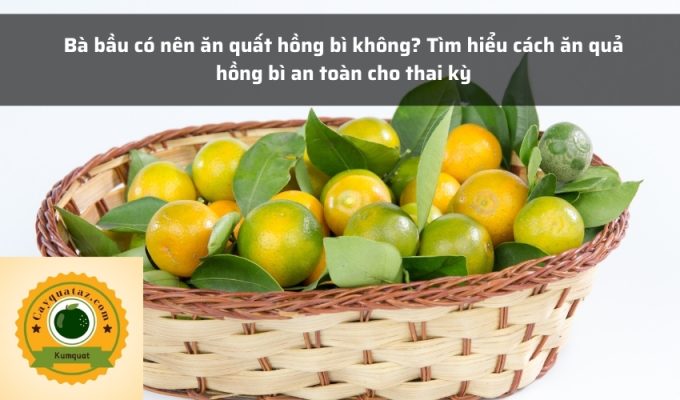 Bà bầu có nên ăn quất hồng bì không? Tìm hiểu cách ăn quả hồng bì an toàn cho thai kỳ