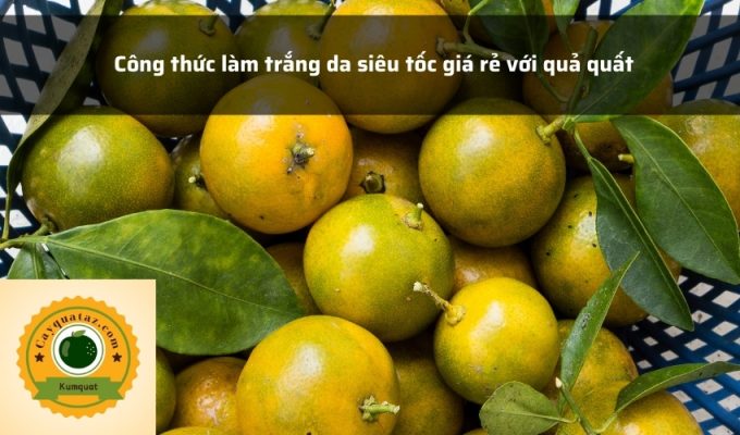 Công thức làm trắng da siêu tốc giá rẻ với quả quất