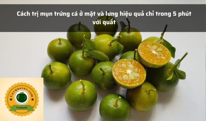 Cách trị mụn trứng cá ở mặt và lưng hiệu quả chỉ trong 5 phút với quất