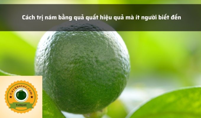 Cách trị nám bằng quả quất hiệu quả mà ít người biết đến