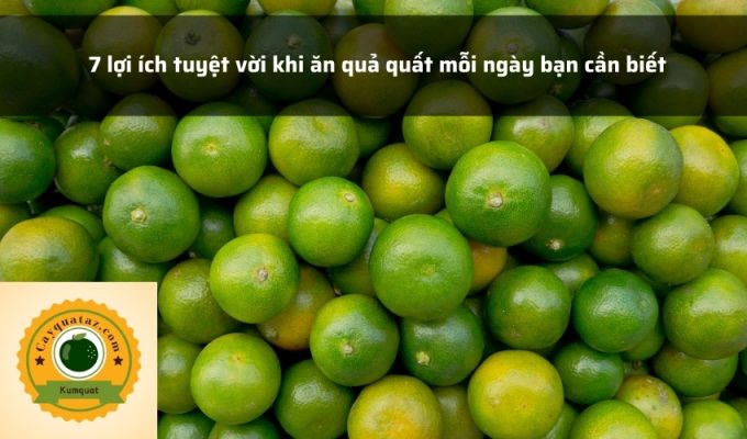 7 lợi ích tuyệt vời khi ăn quả quất mỗi ngày bạn cần biết