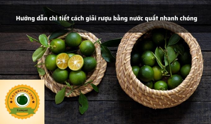 Hướng dẫn chi tiết cách giải rượu bằng nước quất nhanh chóng