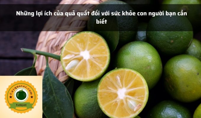 Những lợi ích của quả quất đối với sức khỏe con người bạn cần biết